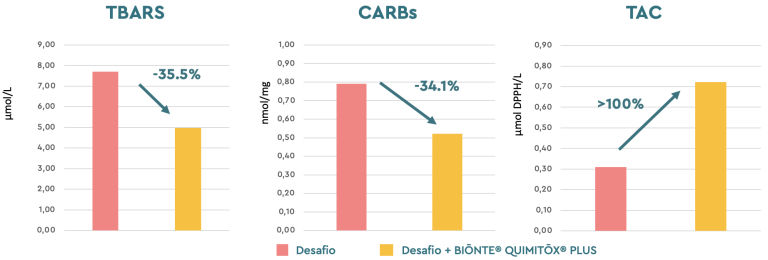 Figura 2. Função antioxidante (µmol/L) em porcas primíparas expostas à multicontaminação com micotoxinas nas duas granjas.